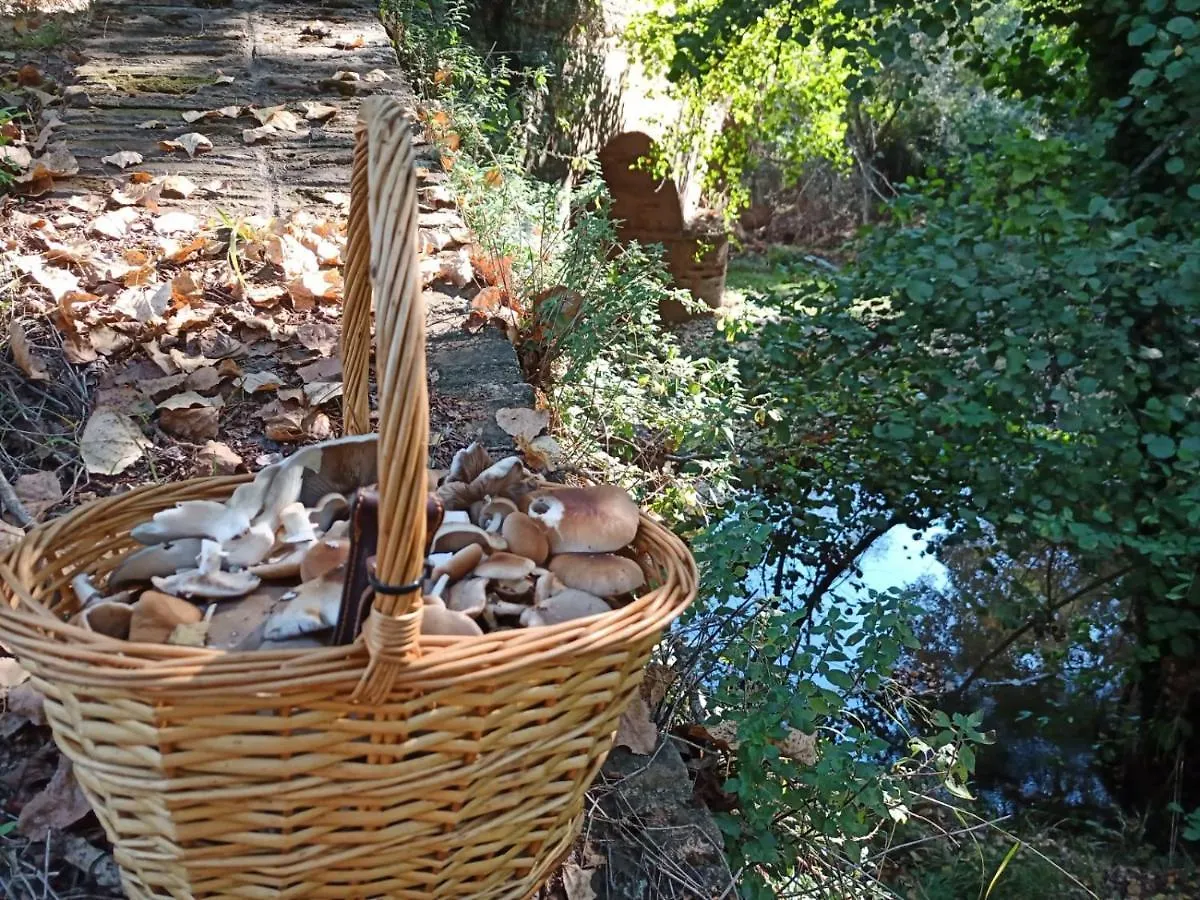 Casa Monte Los Peñasquitos Cazalla de la Sierra